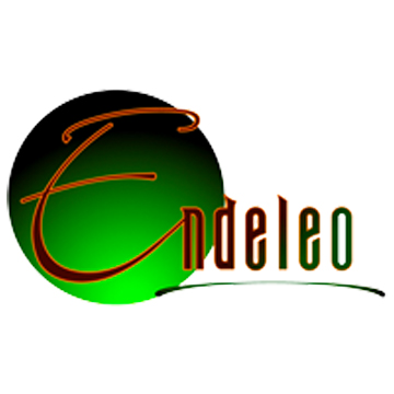 The Endeleo Institute logo