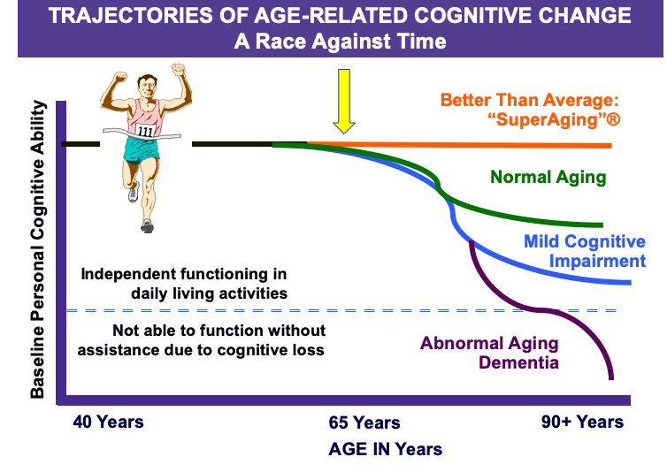 [Linked Image from brain.northwestern.edu]